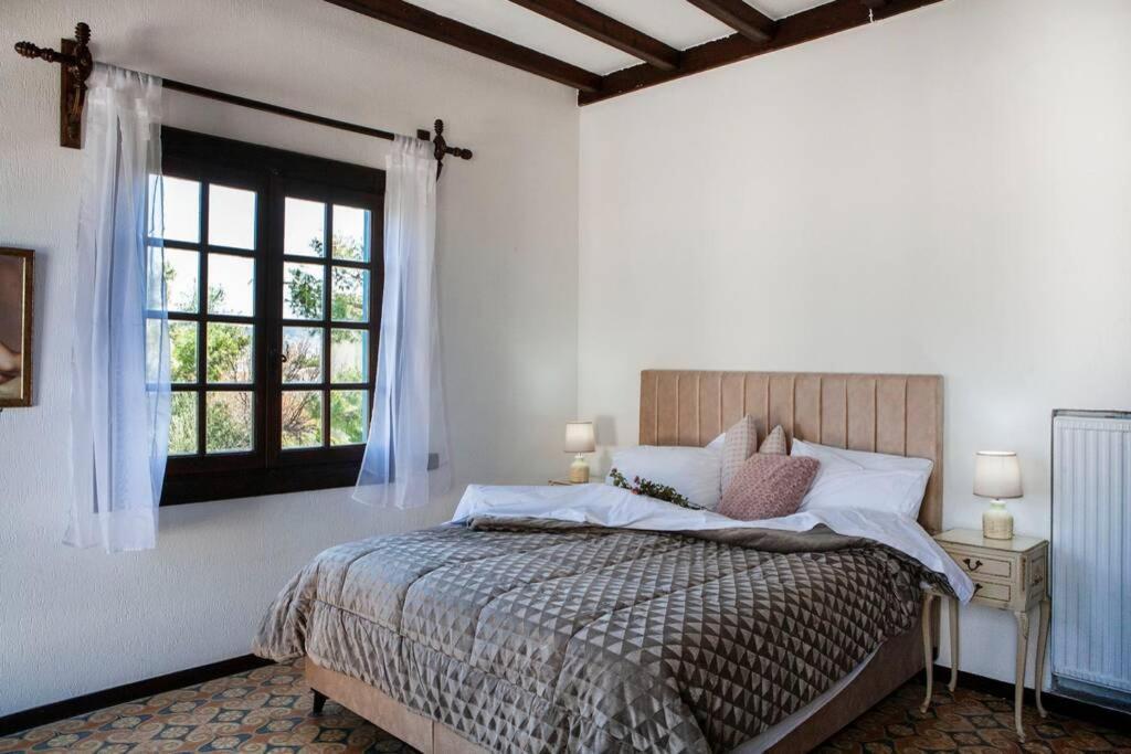 Villa Velissarios: Wonderful Villa Next To Beach Aegina 외부 사진