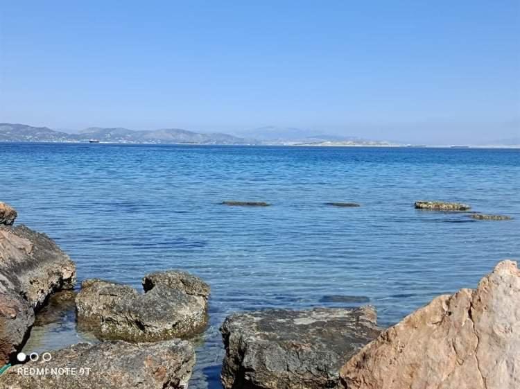 Villa Velissarios: Wonderful Villa Next To Beach Aegina 외부 사진